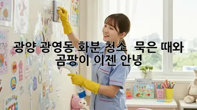 광양 광영동 화분 청소 : 묵은 때와 곰팡이, 이젠 안녕!